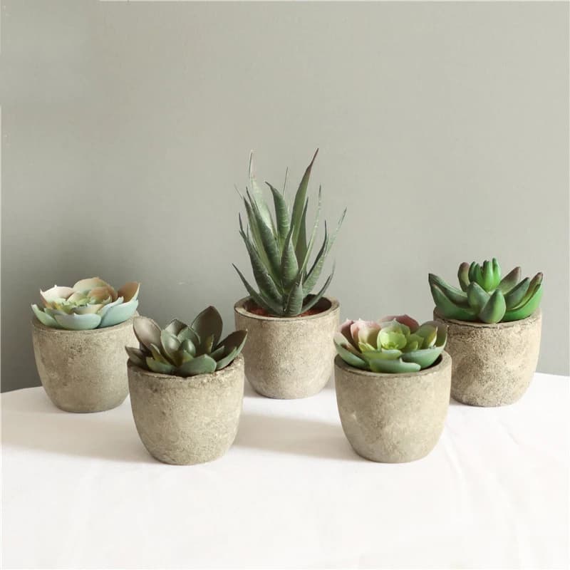 Mini Piante Artificiali di Aloe, Bonsai, Piccoli Alberi Simulati in Vaso, Fiori Finti, Ornamenti da Tavolo per Ufficio, Decorazioni per Casa e Giardino