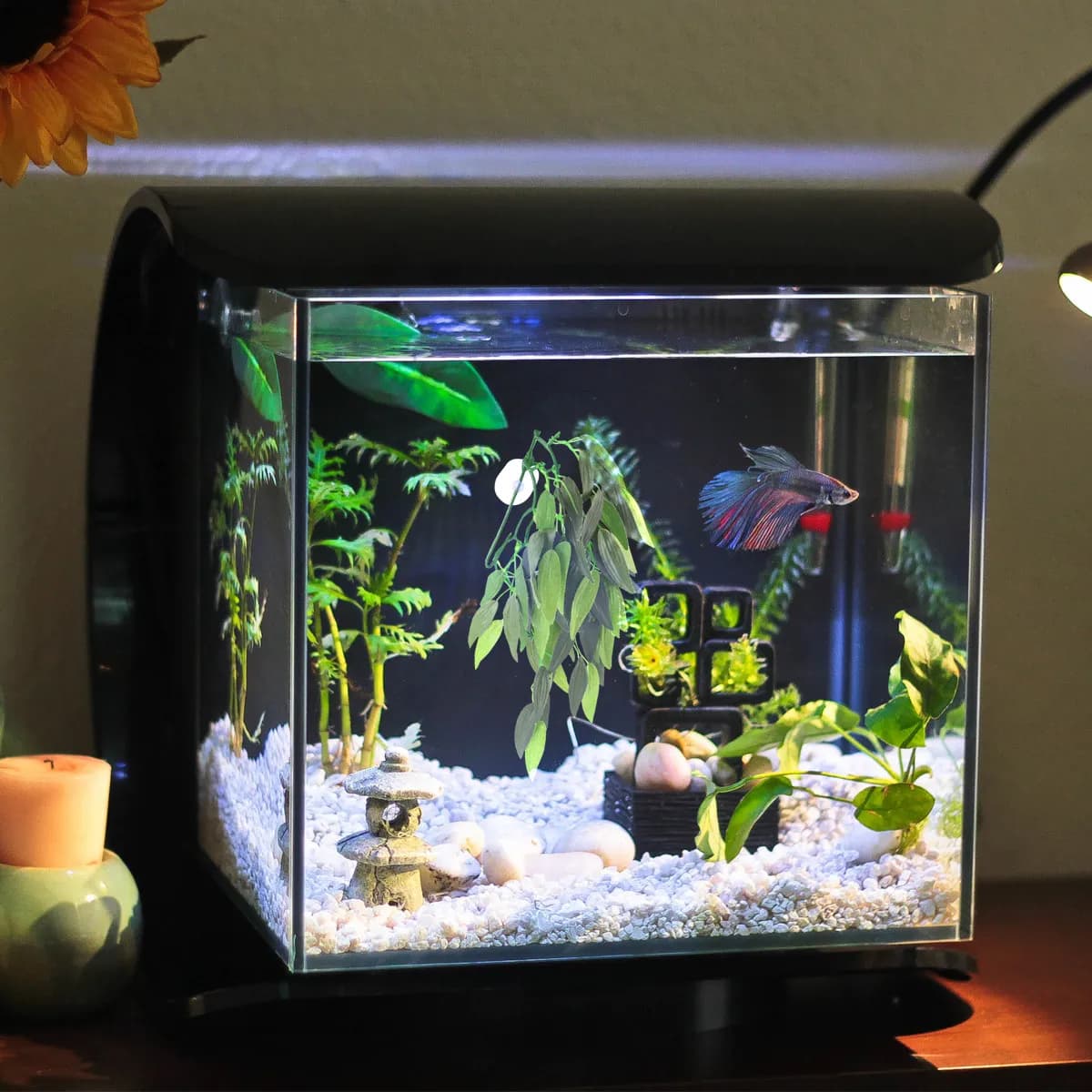 Piante artificiali realistiche in resina dall'aspetto naturale per acquario, decorazione sicura e facile da usare