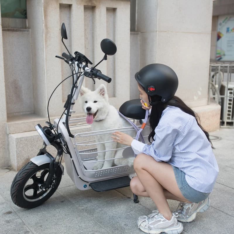 YIDI Scooter Elettrico per Animali Domestici a 3 Posti da 14 Pollici, Bici Elettrica ad Alta Potenza 500w 1000w con Trasportino per Cani