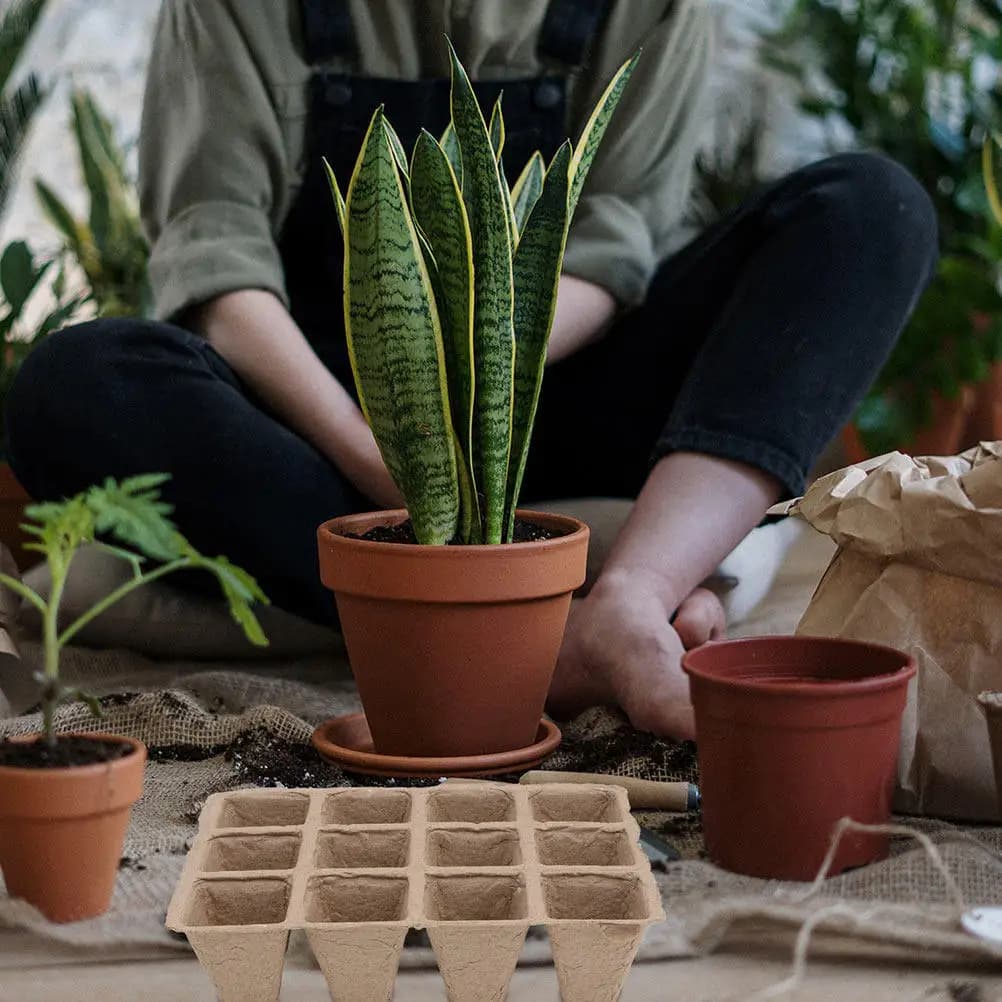 Set di 12 Vasi Biodegradabili Senza Torba per Semina di Fiori, Verdure ed Erbe Aromatiche, con Aerazione per Radici Sane