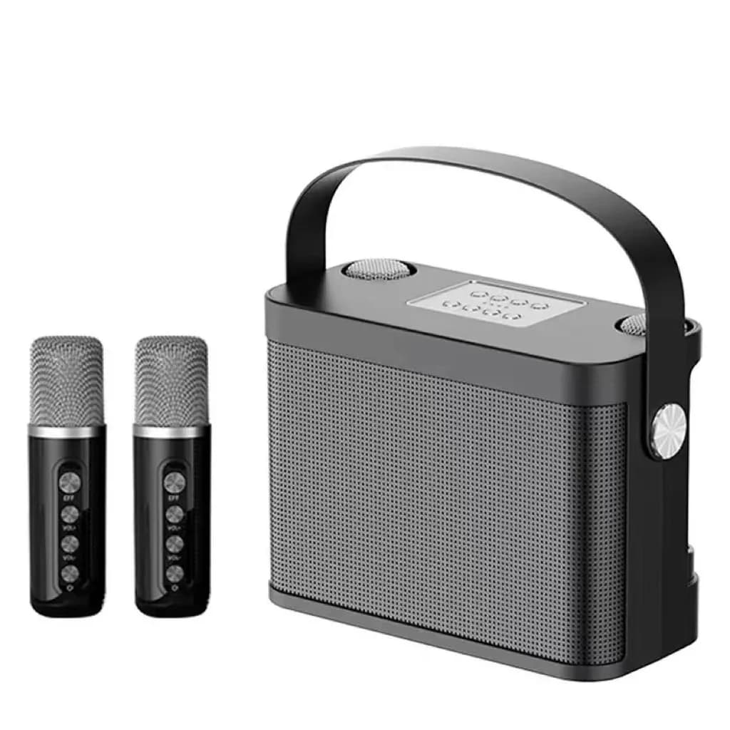Nuovo Sistema Karaoke YS-219, Altoparlante Bluetooth Portatile Mini con 2 Microfoni, Sistema KTV Familiare Tutto-in-Uno