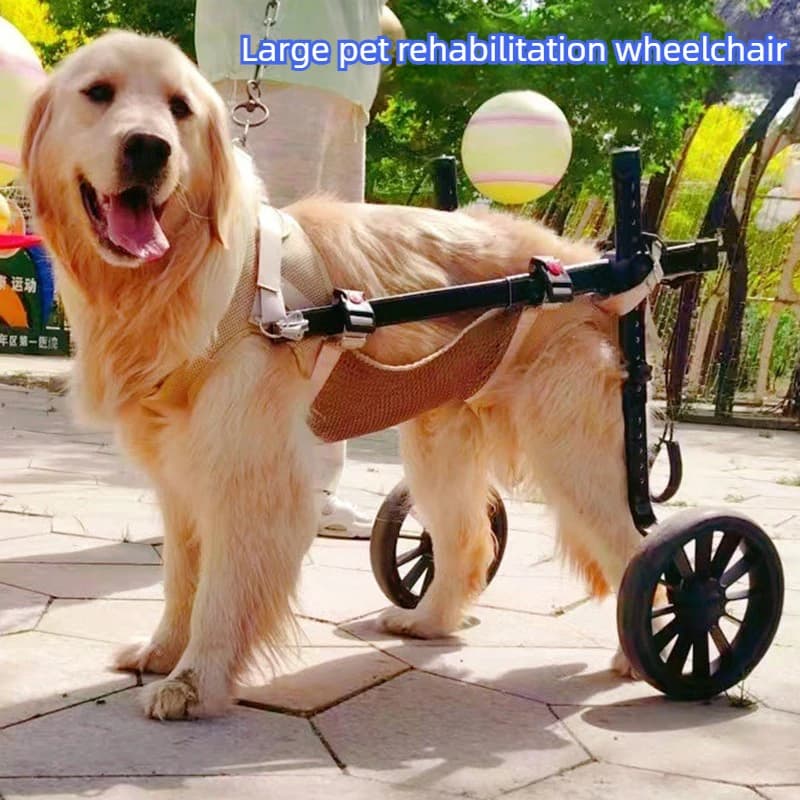Carrozzina per Cani Disabili con Supporto Posteriore, Regolabile per Cani di Taglia Grande, Imbracatura per Addestramento e Riabilitazione, Carrozzina per Cani Anziani