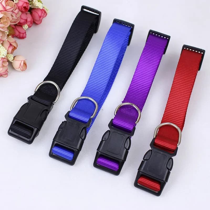 Collare per cani in nylon portatile da 20 pezzi Collare per animali domestici solido con fibbia a clip resistente per cani