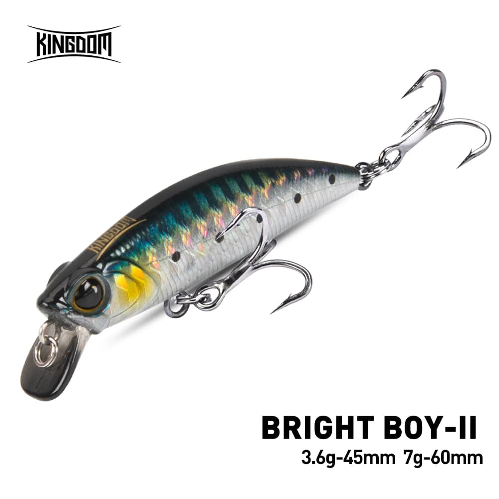 Kingdom Affondamento Minnow Richiamo di Pesca 45mm 60mm Far Casting Artificiale Duro Wobbler Crankbaits Corpo Sottile Esche Dure Per Trota Spigola