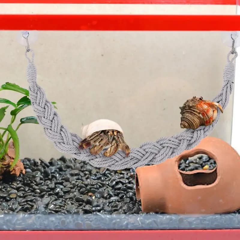 Rettili Viti Giocattoli Granchio eremita Giocattoli con ganci a ventosa Serbatoio per rettili Terrario Accessori Granchio eremita Arrampicata Corda di iuta
