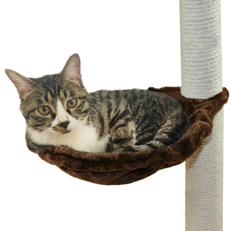 Accessori per alberi per gatti fai-da-te Tiragraffi per gatti Supporto antigraffio Soffitto Torre da arrampicata per gatti Piattaforma Casa per gatti Amaca Mobili per animali domestici