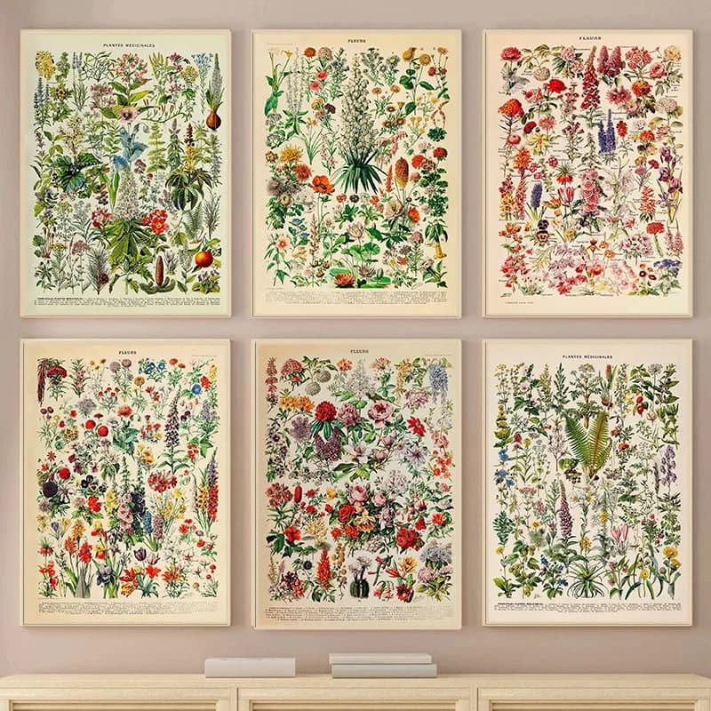 Vintage Fleurs Flowers Poster French Vintage Millot Floral Botanical Illustrations Canvas Painting Wall Art for Room Home Dec