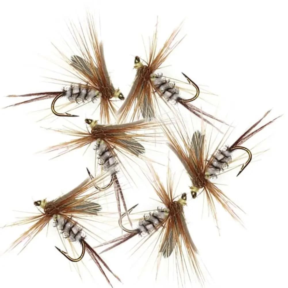 Viaggi di pesca Mosche asciutte e bagnate Scatola di mosche da pesca assortite Attrezzatura da pesca Trota Spigola Mosche Strumenti di pesca efficaci