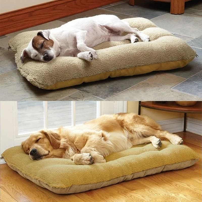 Lettino per cani per cani e gatti Lettino invernale caldo per dormire Tappetino per cuccioli Cuccia per cuccioli Lettino lungo in peluche per animali domestici Tappetino per animali lavabile staccabile