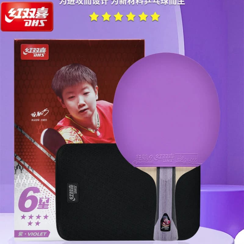 DHS H6001 Professional ping pong rack 6 stars Hurricane 9 and Hurricane 3 Rubbe Grip Horizontal Mazza ping pong with housing