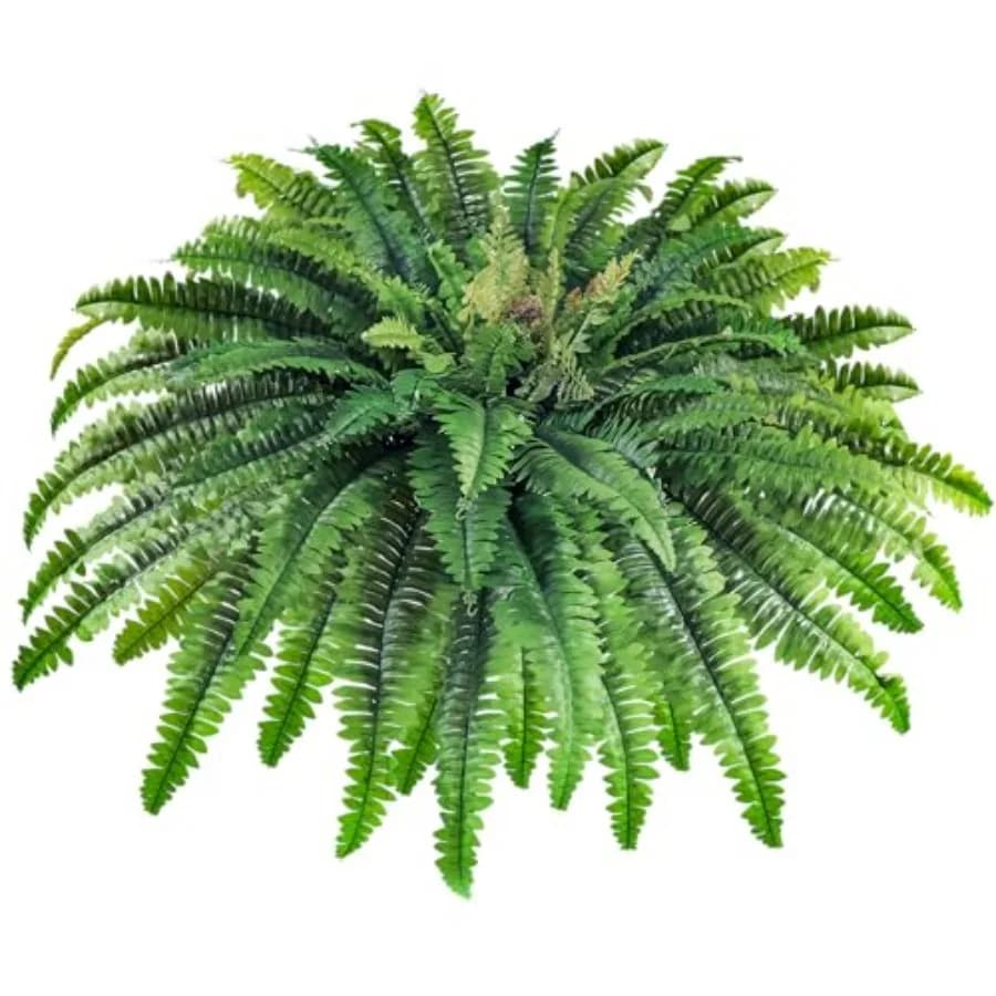 45 Great Artificial Sweatshirts for Exterior and Interior, 63 Faux Sweat Sheets, Fine Plants Suitable for Decorations