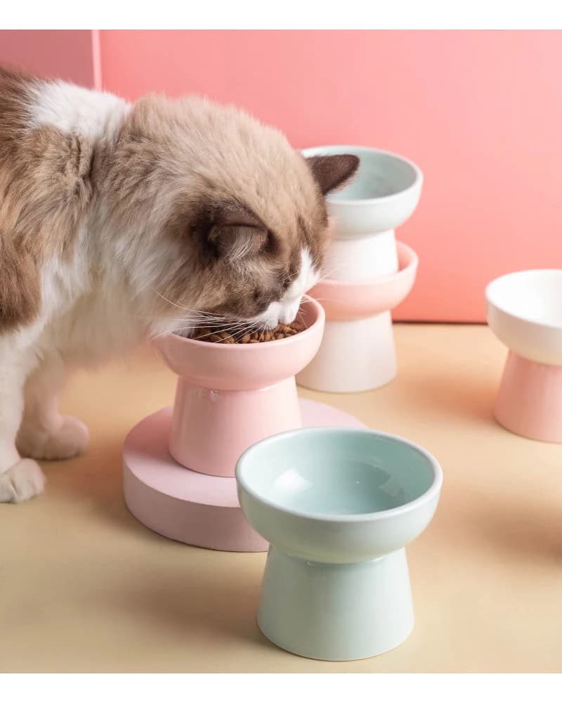 Ciotola per gatti, ciotola per cibo per gatti, protezione in ceramica per la colonna vertebrale cervicale, ciotola antiurto per cani, ciotola per acqua e cibo per animali domestici, ciotola per gatti