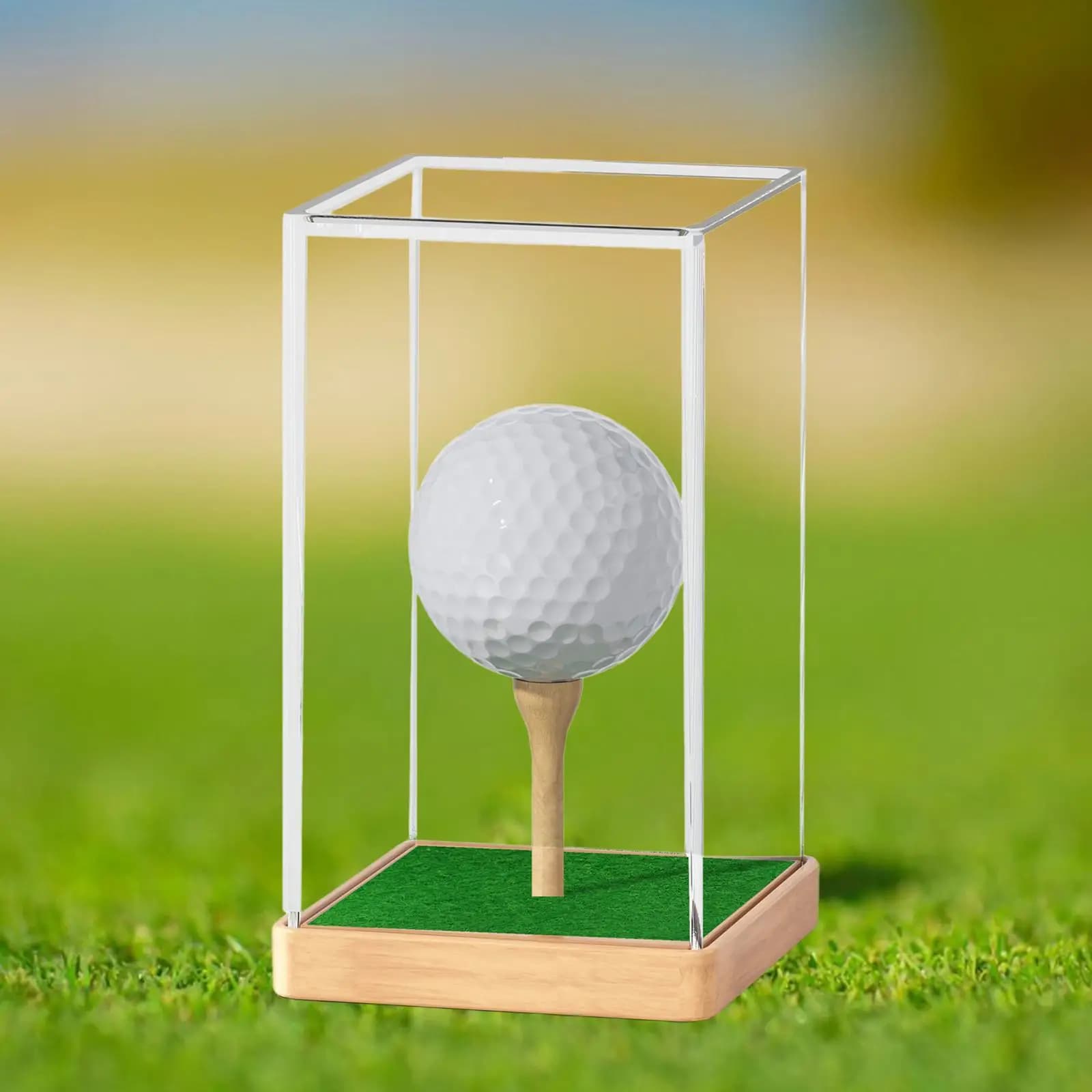 Custodia Protettiva Trasparente per Palline da Golf, Contenitore Antipolvere con Supporto per Tee, per Conservazione di Oggetti da Collezione, Scaffale per Studio