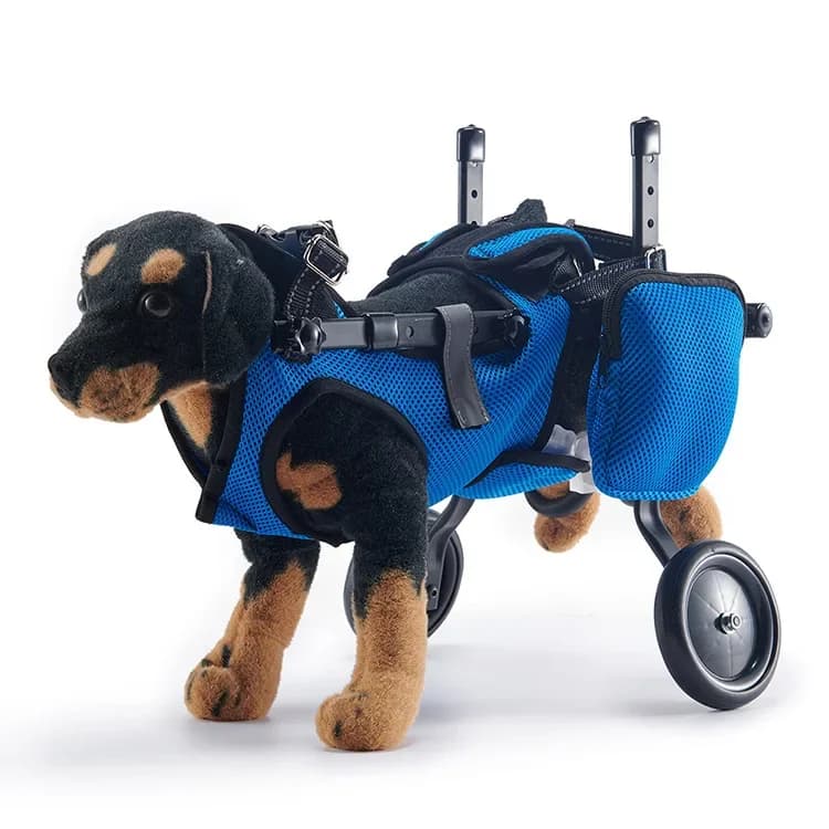 Nuova Sedia a Rotelle per Cani Potenziata per la Sicurezza delle Zampe Posteriori, Supporto Regolabile per Zampe di Animali Domestici, Carrello con Sacchetto per Escrementi e Tappetino Igienico