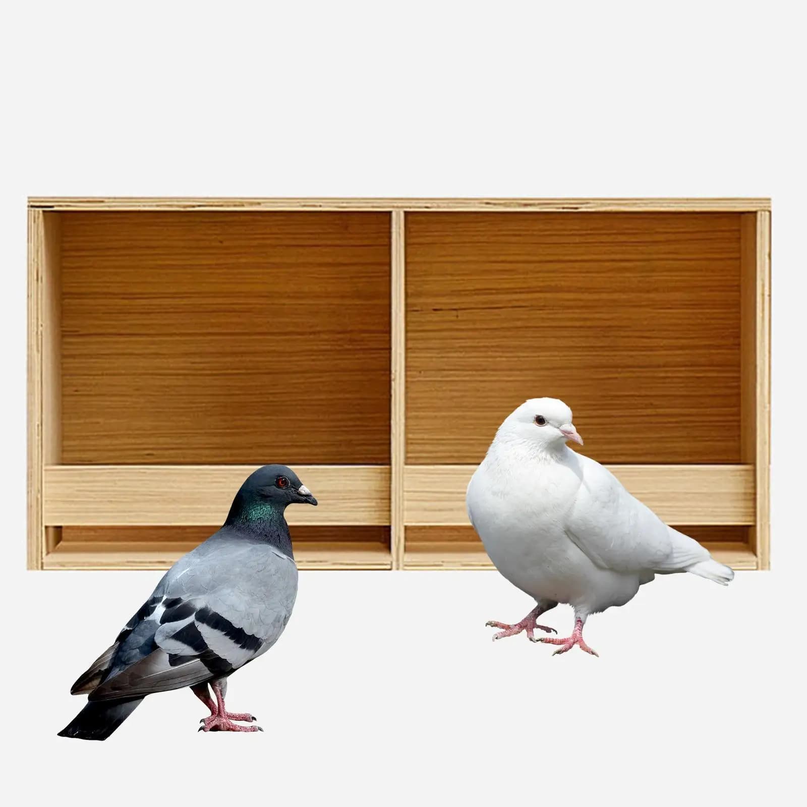 Parakeet Wooden Parrot Nest Birds Food Container Wooden Pigeon Nesting Boxes Wood Breeding Box for Lovebirds