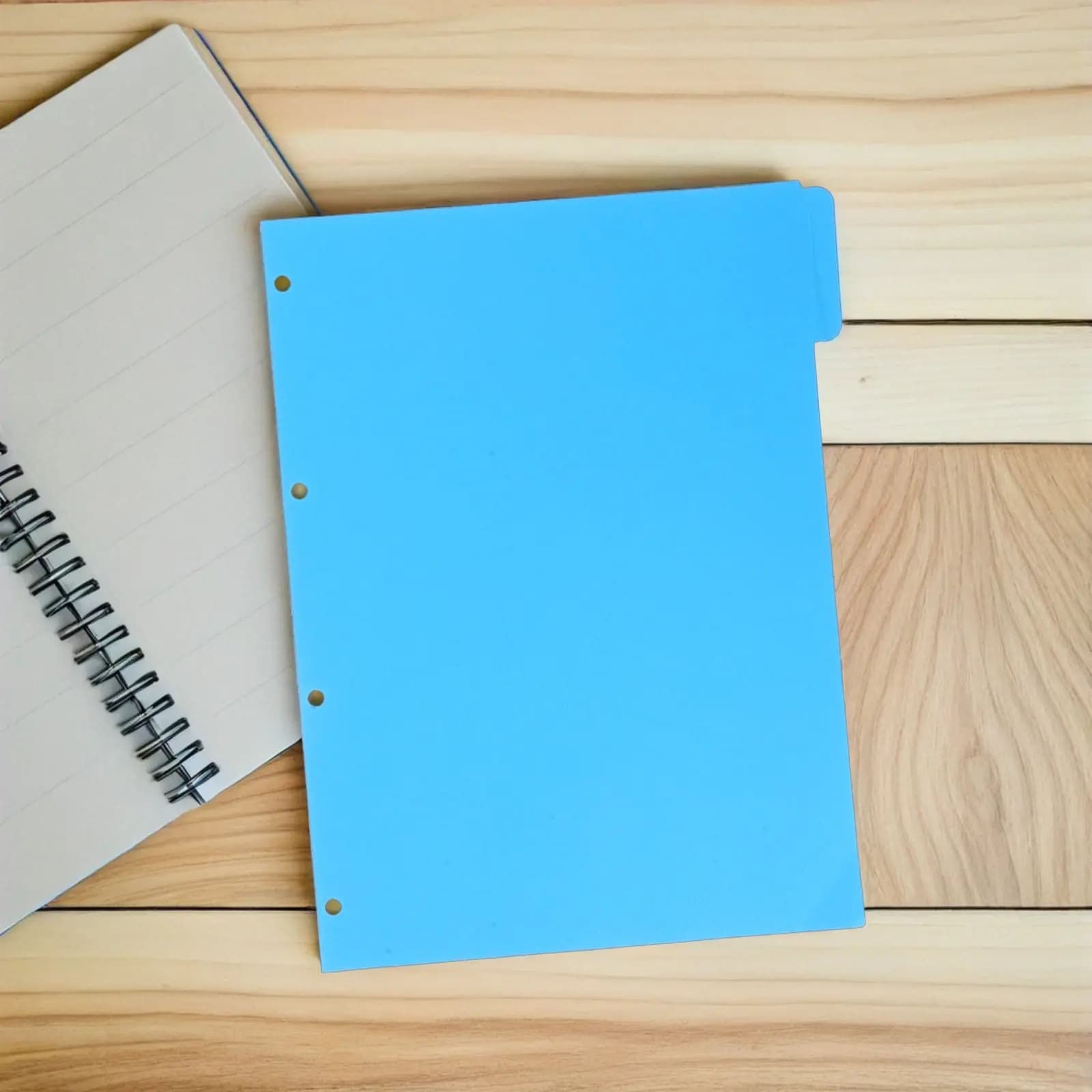 10 Set di Divisori Colorati per Quaderni, Fogli Staccabili, Indici per Planner, Diari, Organizzatori per Ufficio