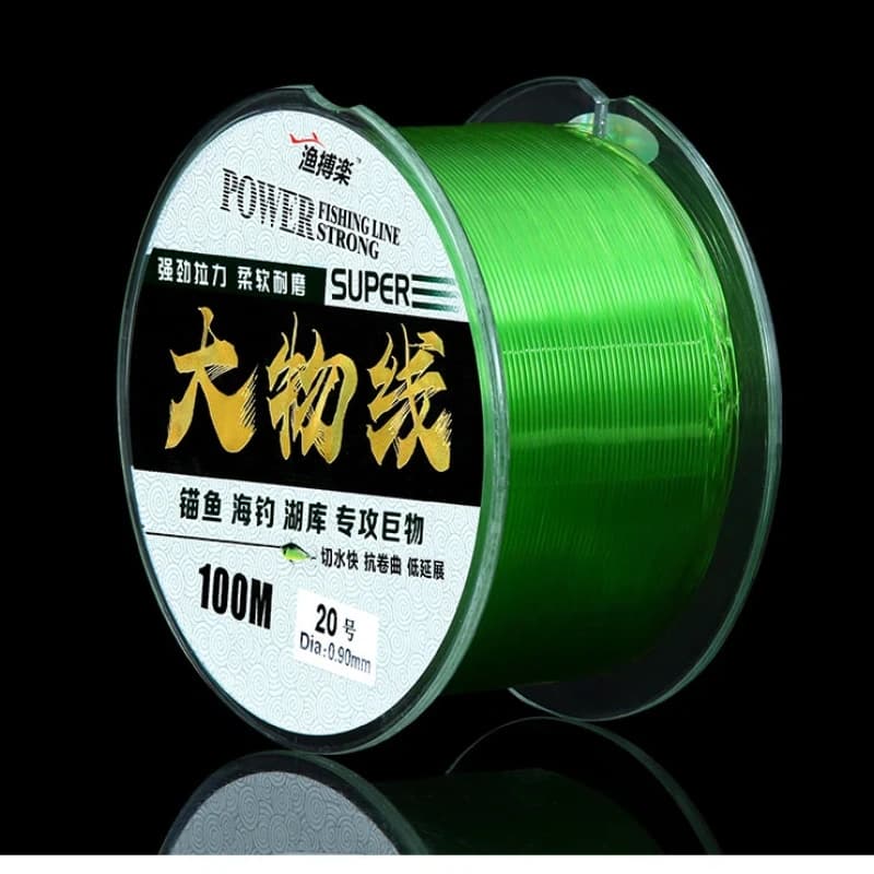 Filo da Pesca in Nylon per Storione e Grandi Prede, Spessore 100m/200m, Resistente all'Abrasione, per Lancio in Mare e Ancoraggio