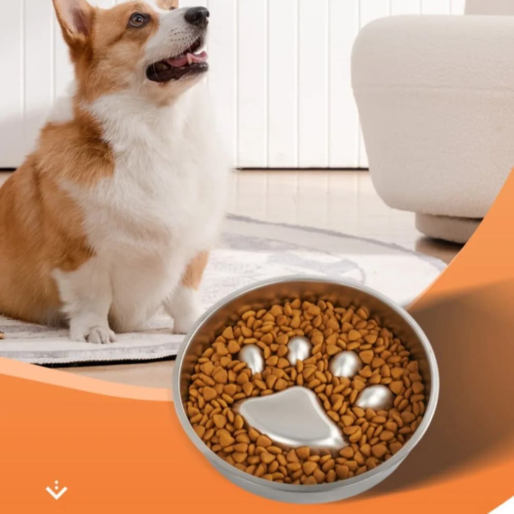 Ciotole Antiscivolo e Anti-ingozzamento in Acciaio Inox 304 per Cani e Gatti, Ciotole Speciali per Alimentazione Lenta