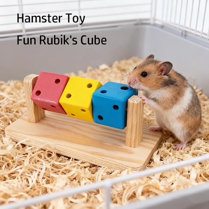 Cubo magico divertente per criceti Giocattolo da masticare in legno Esercizio di allenamento per l'intelligenza Blocco di legno colorato per piccoli animali Sport per criceti