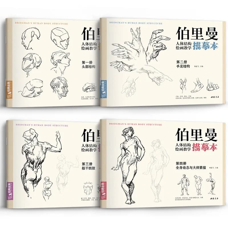 Bridgman Human Anatomy Tutorial Book Sketching Human Structure Drawing Line Draft Practice Books Tutorial Art Tracing Sketch