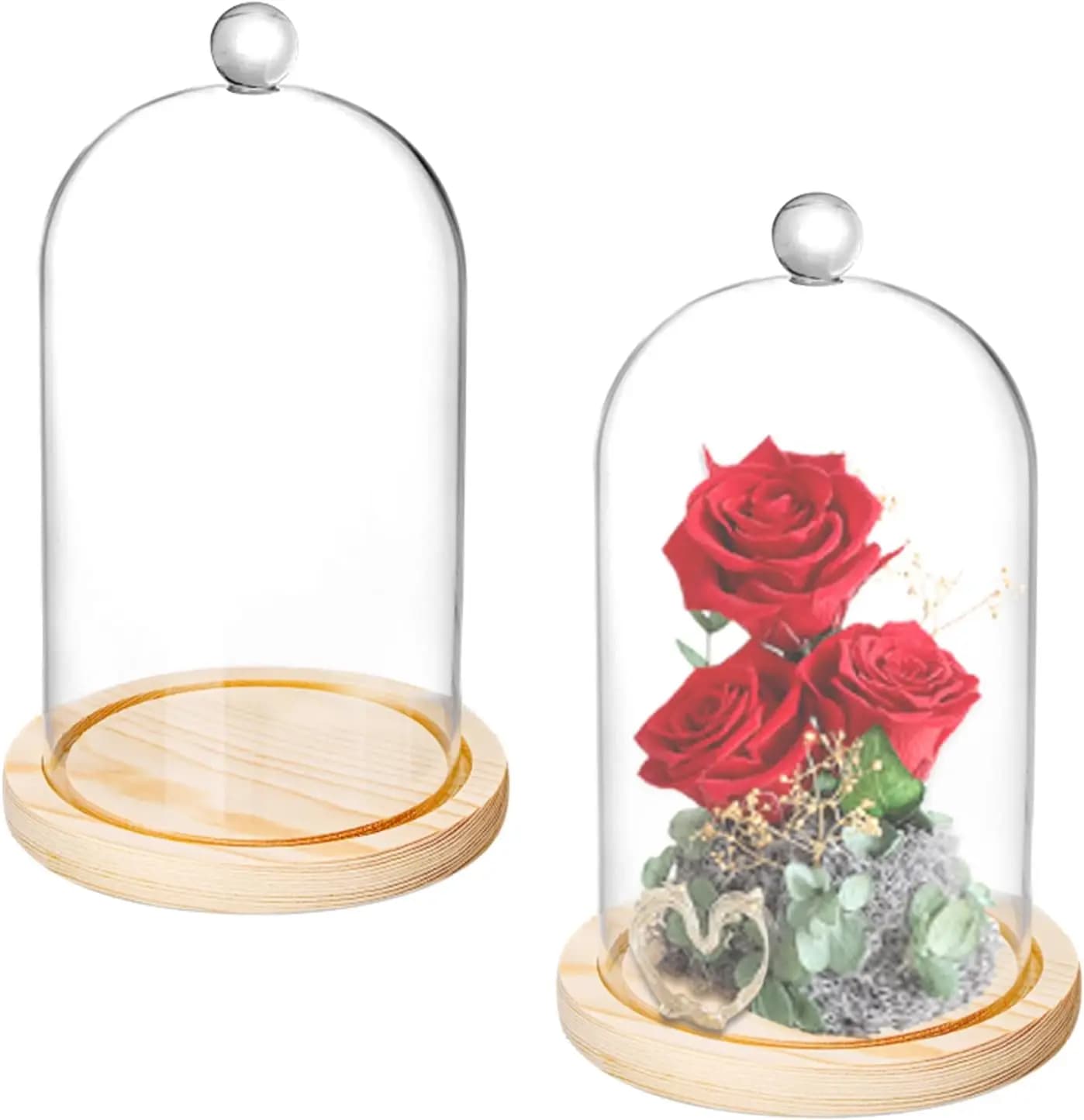 Campana di vetro Cloche, 8'' x 5'' con base in legno rustico, vetrina a campana in vetro per piante, luci decorative