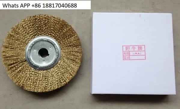 Ruota metallica da 8 pollici 1PC, per lucidatrice per suole, spazzola per lucidatura a filo, accessori per scarpiera