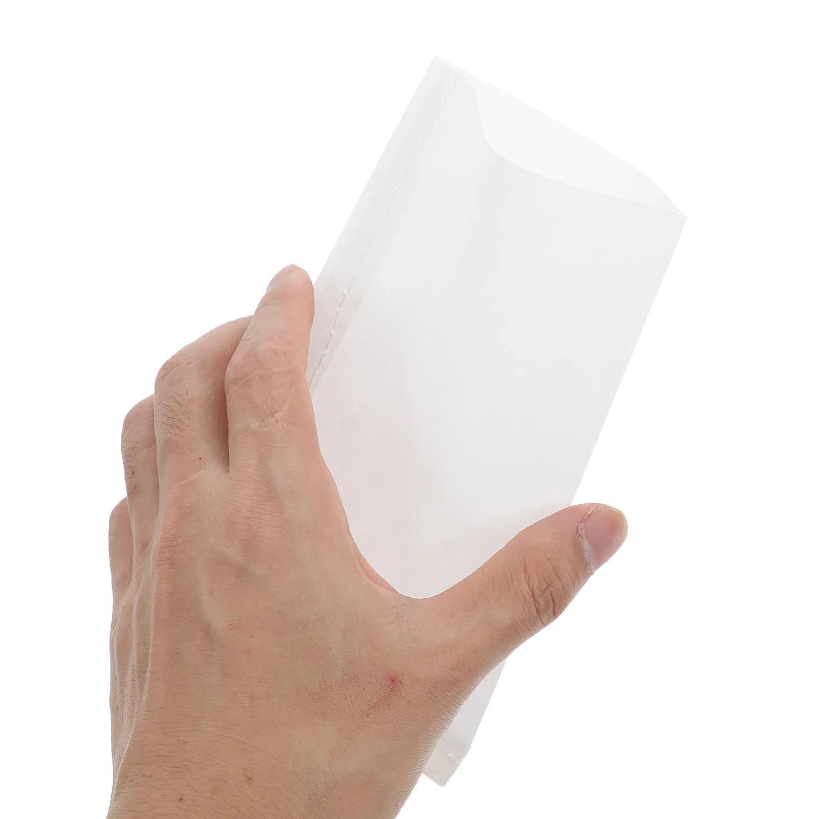 50 Sacchetti di Carta per Immergimento Semi, Buste in Pergamena per Germinazione di Semi di Verdure, Fiori e Prato, Sacchetti Traspiranti per Coltivazione