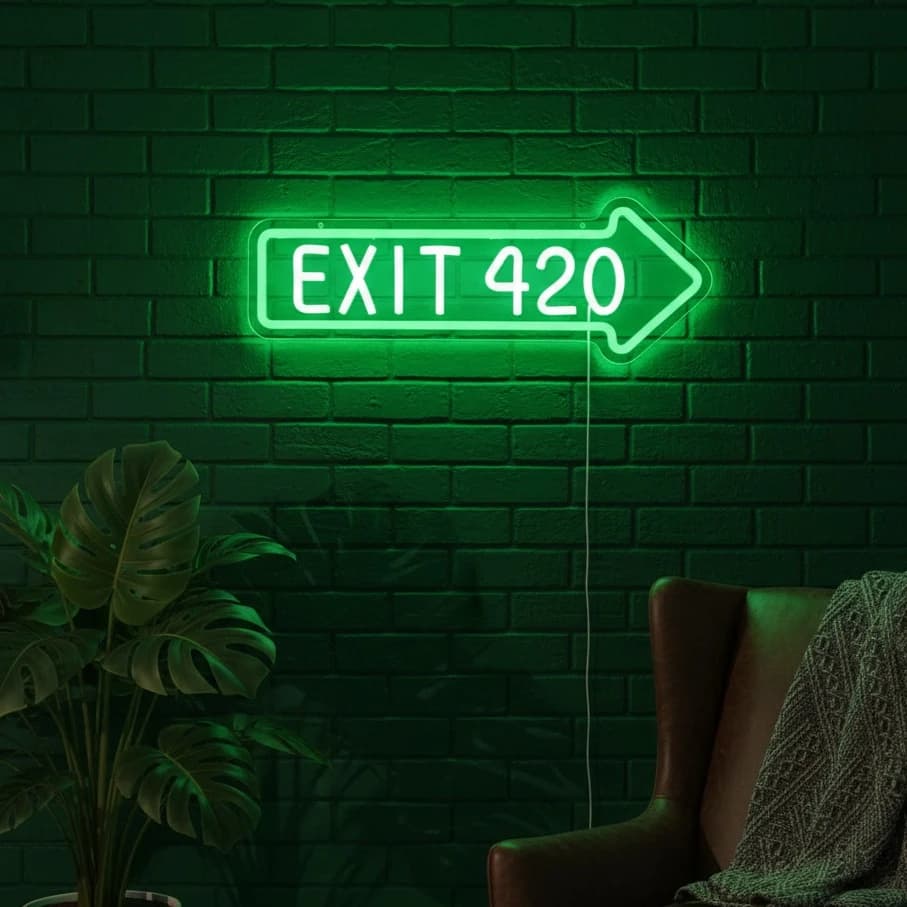 Uscita 420 Insegna luminosa al neon Alimentata tramite USB a parete Grande LED monocolore Camera da letto Uomo Cave Bar Decorazioni per feste Regalo di festa di compleanno