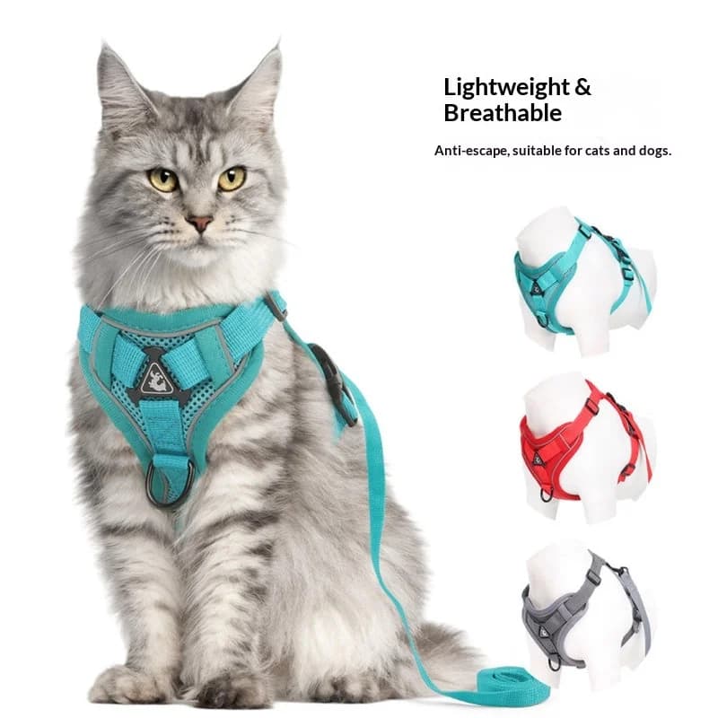 Set Guinzaglio e Pettorina Universale per Cani e Gatti, Riflettente, Traspirante, Anti-Fuga, Gilet Pettorina alla Moda, Set di Accessori per Animali Domestici, Vendita all'Ingrosso