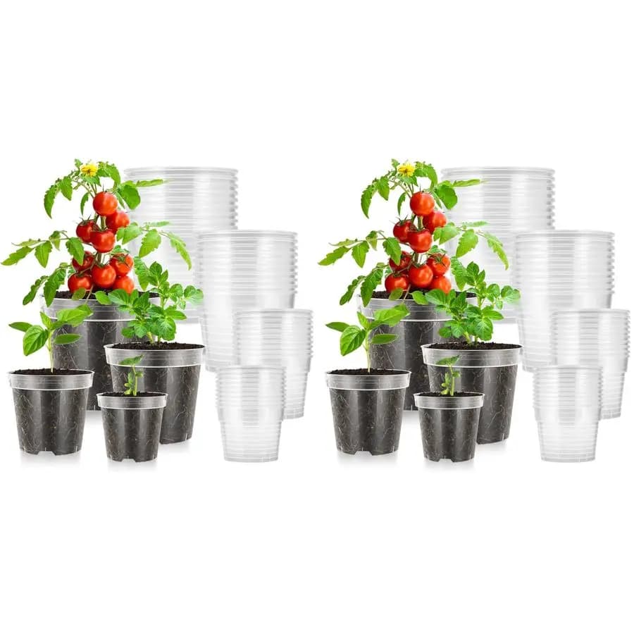 80 Packs of 3, 4, 5, 6 Inches with Draining Holes, Plastic Reinforced Vases for Plants, Flowers, Steaks
