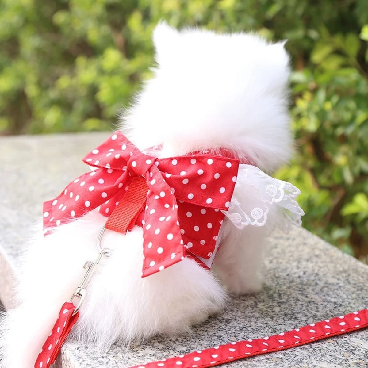Pettorina per cani Bellissimo guinzaglio per gatti in pizzo con nodo a fiocco Cintura pettorale Collare per cani Forniture per animali Accessori Guinzaglio per cani Fiocco rosso