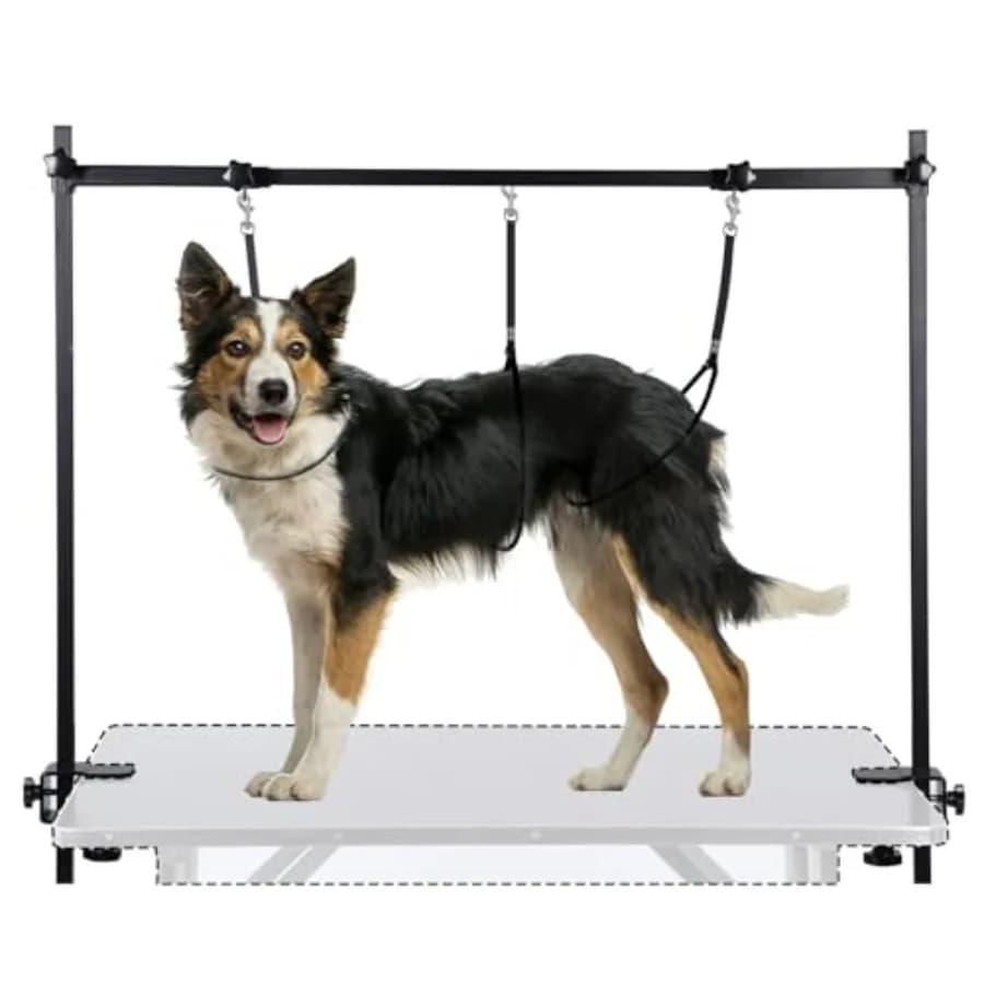 Braccio per toelettatura cani a forma di H con morsetto, braccio per tavolo da toelettatura per animali domestici resistente con anello ad anello, altezza regolabile 32 pollici e larghezza 34-50 pollici