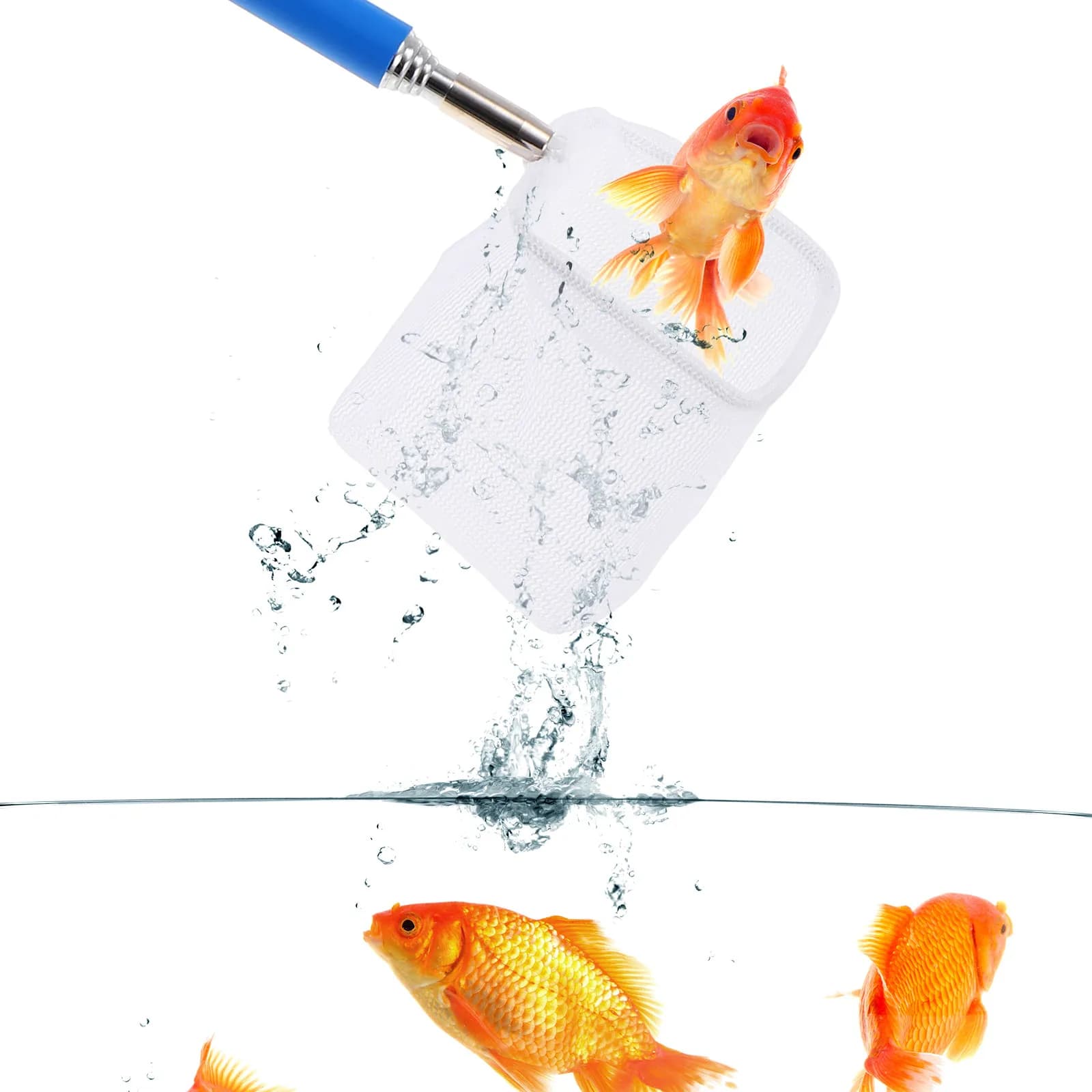 Rete per Gamberetti con Manico Regolabile Estensibile per Acquario, Laghetto e Vasca dei Pesci - Rete Compatta Portatile per la Pesca e la Cattura di Gamberetti