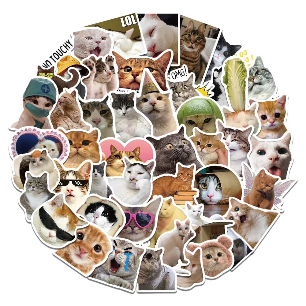50 pezzi simpatici gattini adorabili gatti meme adesivi graffiti per bicicletta mano conto astuccio decalcomanie gloria rinforzata