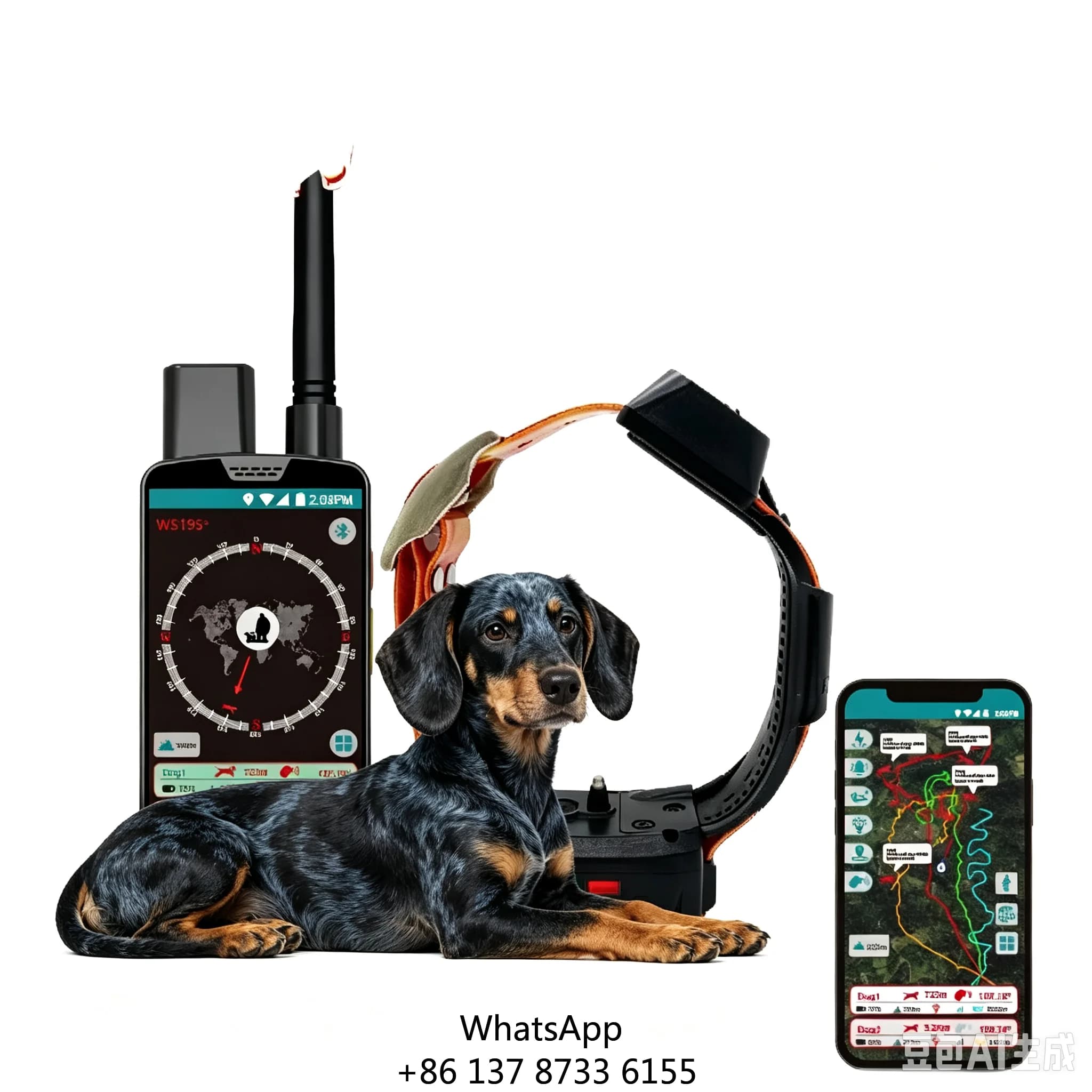Innovative AirTag Holder Dog Collar Anti-Detachment Lock System + Signal Booster Design Pet Tracker 4G IP68 Waterproof Long