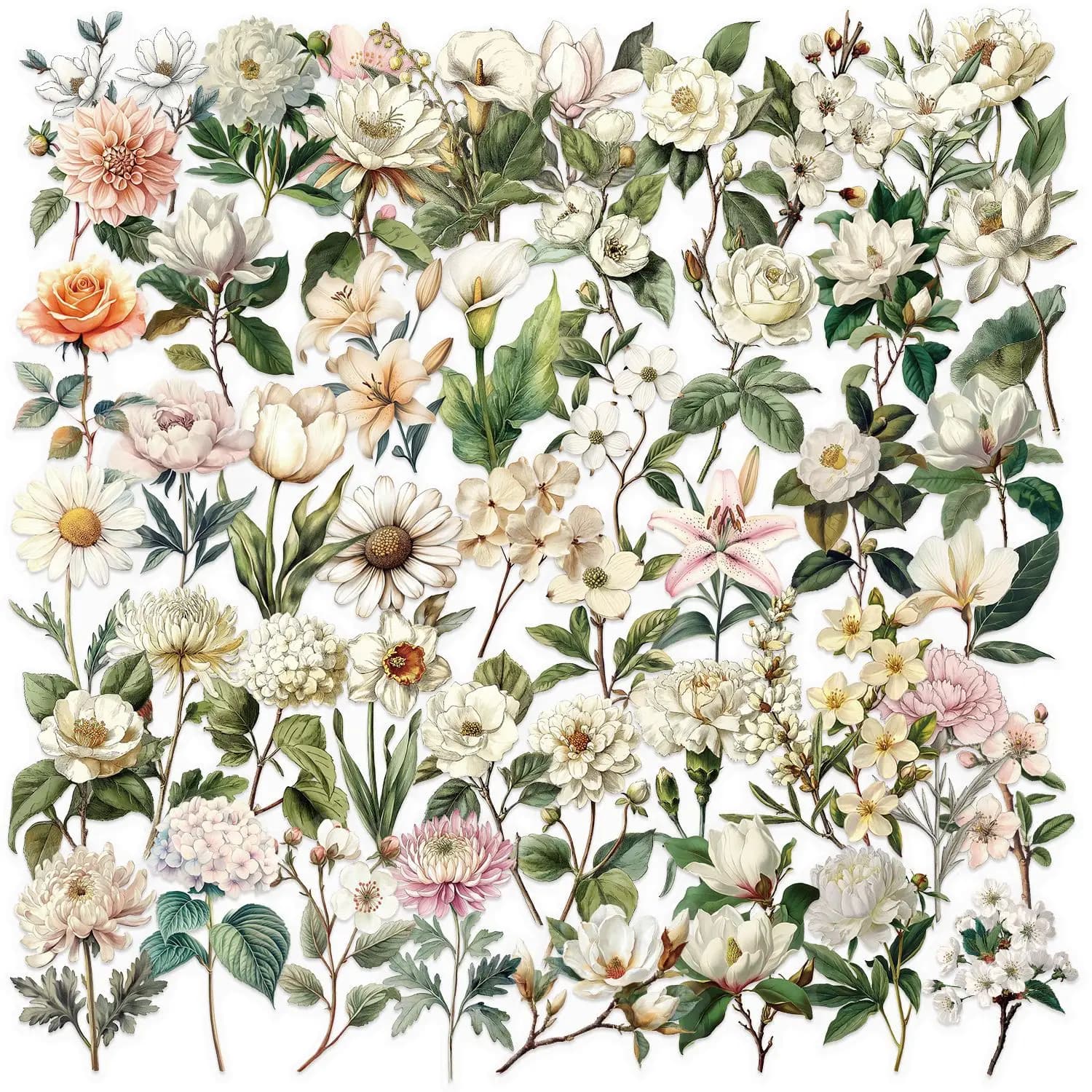 Confezione di adesivi floreali trasparenti retrò con ramo lungo da 50/100 pezzi Adesivi decorativi per notebook per chitarra in PET trasparente impermeabile
