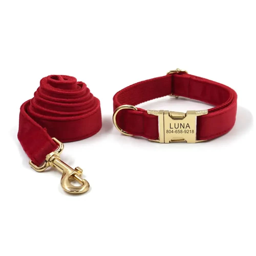 Collare per cani personalizzato collare per animali personalizzato incisione gratuita targhetta identificativa accessorio per animali domestici guinzaglio per collare per cuccioli in fibra di velluto rosso