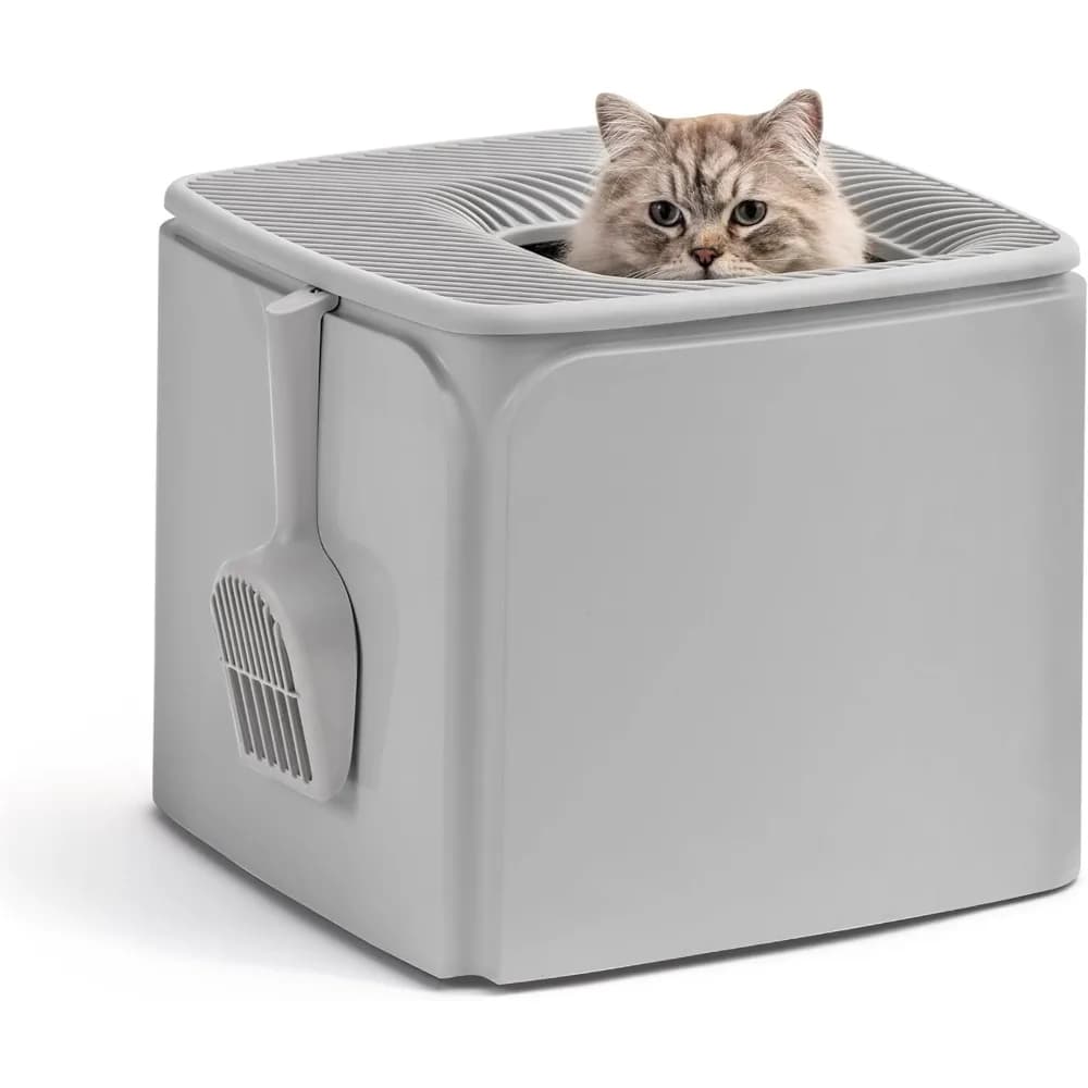 Lettiera per gatti Premium Top Entry con paletta, custodia quadrata per gatti e gattini, grigia