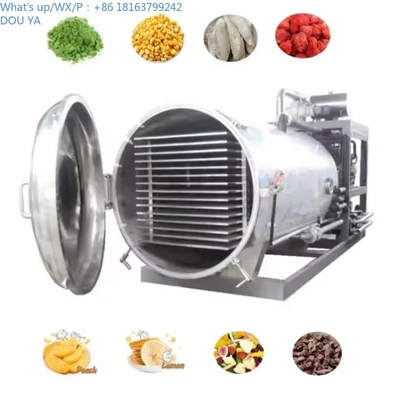 Macchina per liofilizzare ze senza alimenti per carne di caramelle sottovuoto medio da 200 kg 300 kg Macchina per liofilizzare l'essiccatore per frutta secca e verdura.