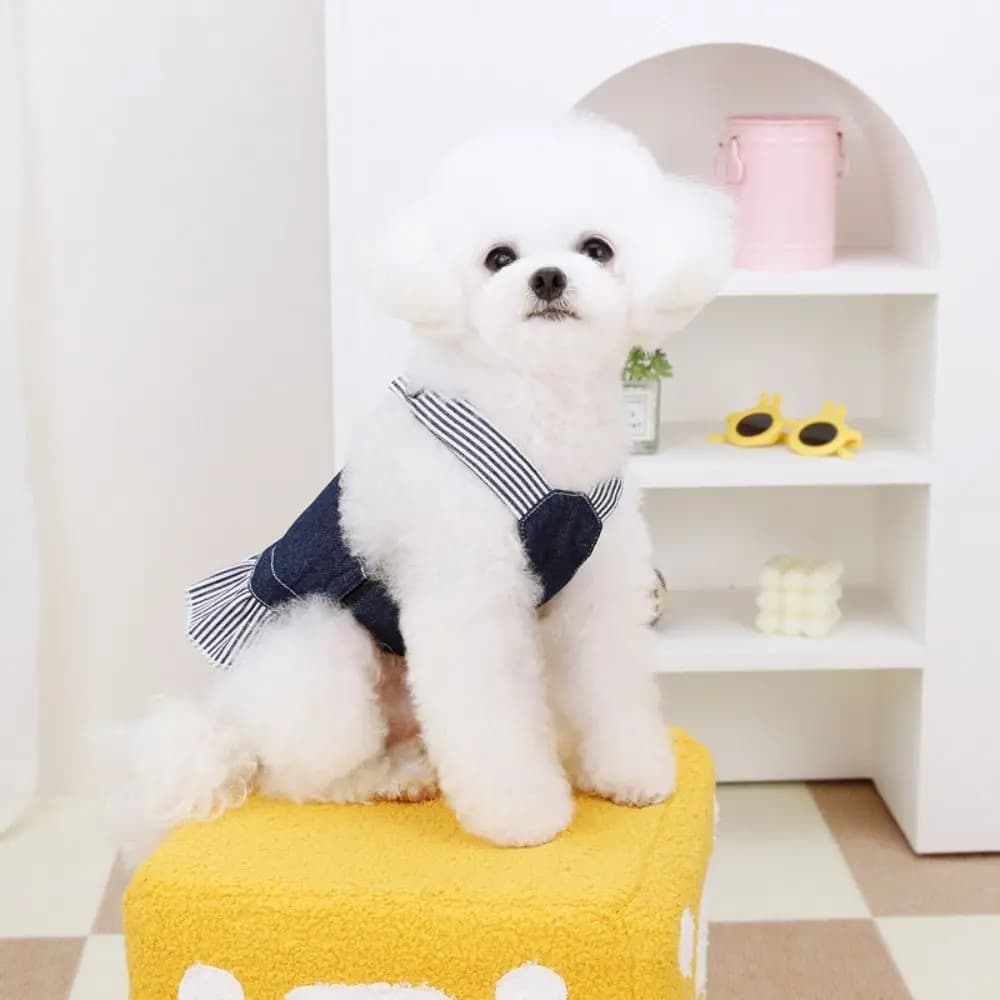 Gonna in denim alla moda per animali domestici, graziosa e traspirante, vestito a righe con orsetto, design sottile, pettorina a gilet per cani Chihuahua e Poodle