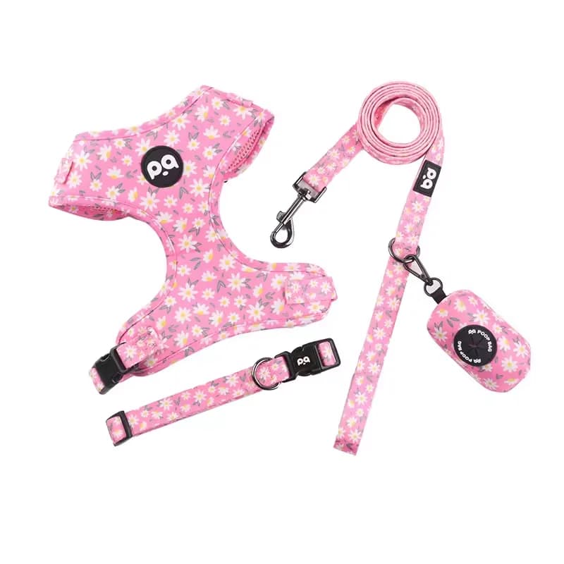 Nuovo Arrivo in Stock: Set Guinzaglio e Pettorina per Cani Personalizzabile con Stampa, Vendita all'Ingrosso