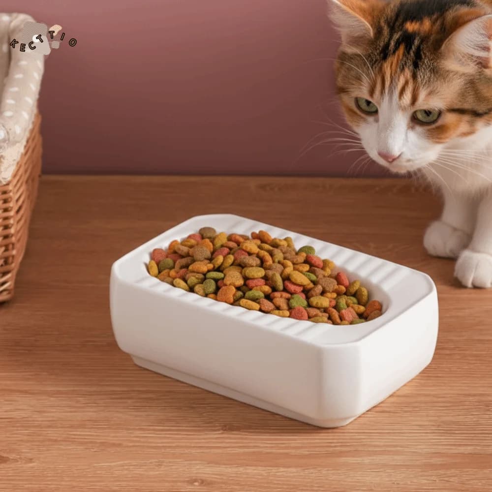 Ciotola per Gatti in Ceramica a Forma di Toilette, Protegge la Colonna Cervicale, Dispenser d'Acqua Antiscivolo per Animali Domestici