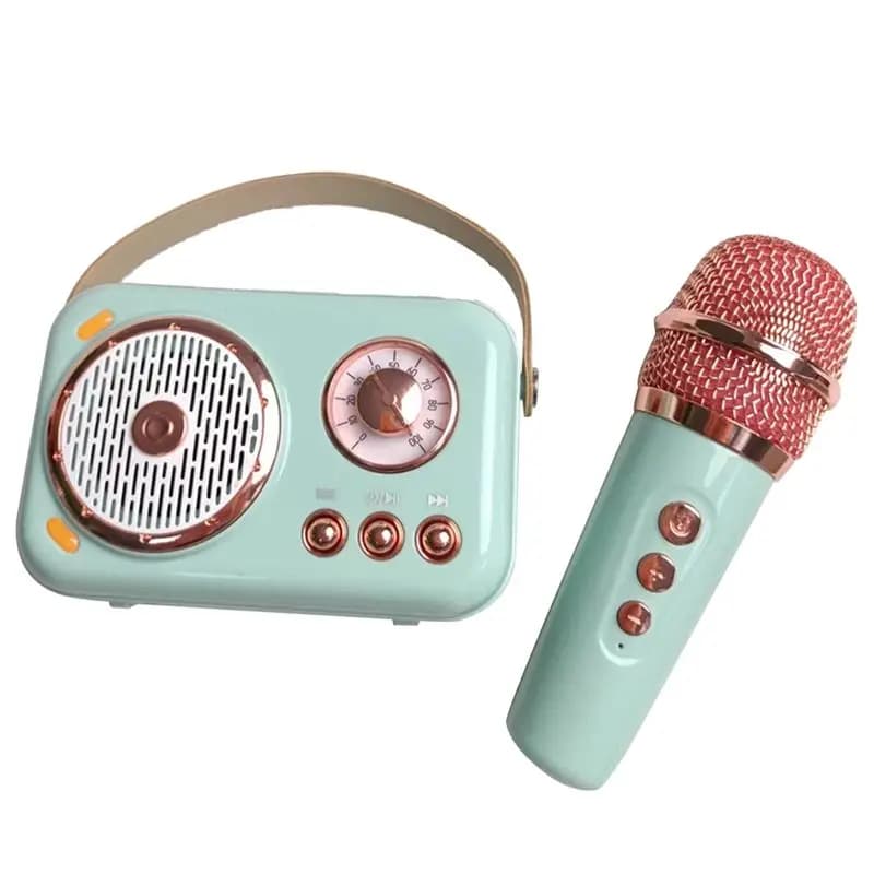 AB11-Family Bluetooth Speaker for Karaoke at Children's Open, Wireless Microphone, High Volume Portable Subwoofer