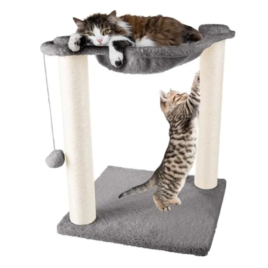 Amaca per Gatti con Tiragraffi per Gatti da Interno - Albero per Gatti Alto 48 cm con Giocattolo a Sfera Sospeso per Gatti Adulti e Gattini di G