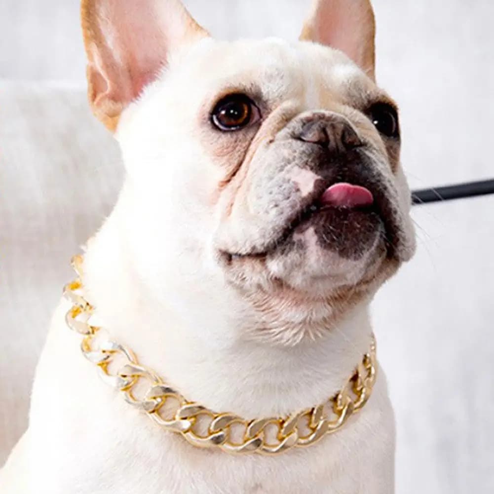 Collare Bulldog francese per cani da compagnia collare regolabile per collana di moda con catena per cani di taglia piccola e media