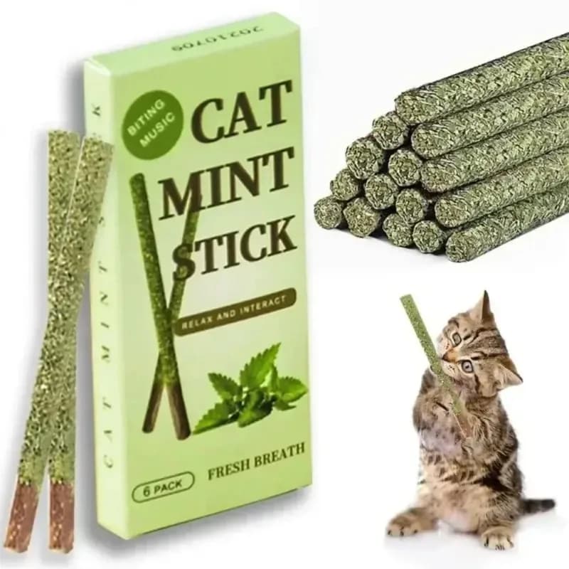 6 bastoncini naturali di Matatabi per gatti, con menta, per stimolare il morso, bastoncini di Silvervine per la pulizia dei denti del gatto, trattamento e gioco, forniture per animali domestici, giocattoli per gatti