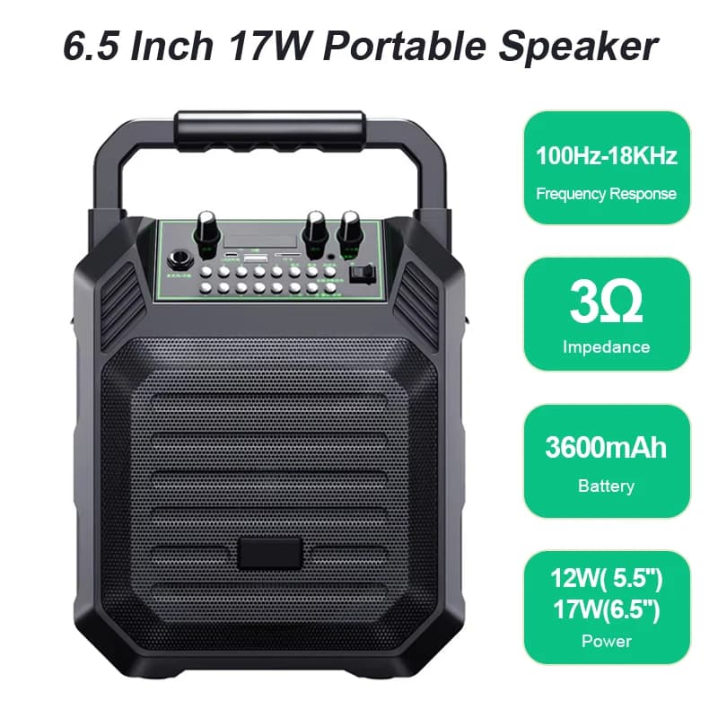 Altoparlante Bluetooth di picco da 300 W Cassa audio portatile senza fili portatile con microfono 6-8 ore di riproduzione Audio Radio FM per Karaoke all'aperto