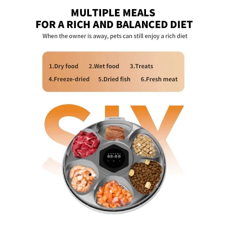 Wholale Upgr Six Meals Dry and Wet Pet Bowls Feeders Automatic Food Feeder Dispenser With Packs