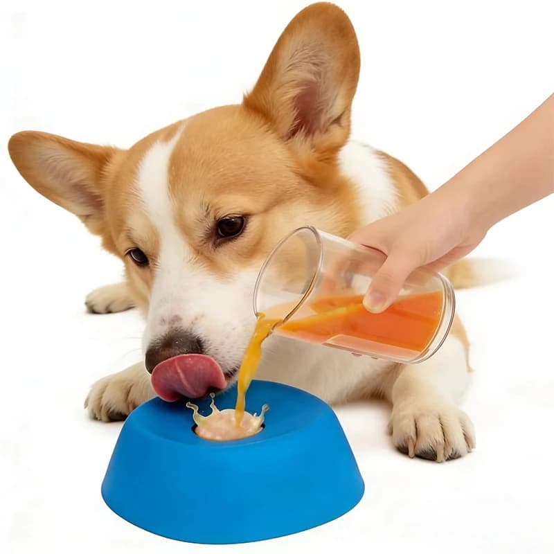 Ciotola interattiva antiscivolo per alimenti liquidi e umidi (Hot Dog, brodo di ossa, yogurt) per cani, ideale per favorire l'acquisizione di buone abitudini alimentari.