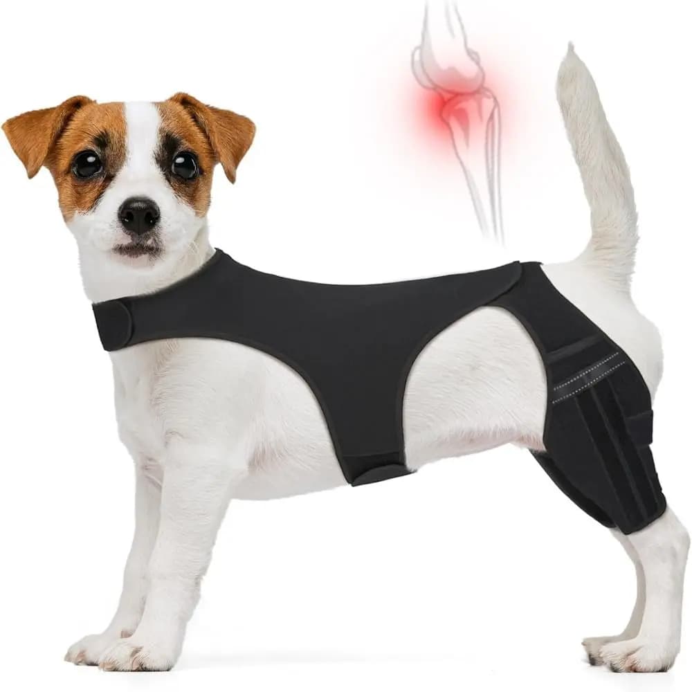 Ginocchiera per cani regolabile Supporto per articolazioni durevole Staffa di supporto per gambe Design riflettente Protezione traspirante per le ferite del ginocchio dell'animale domestico
